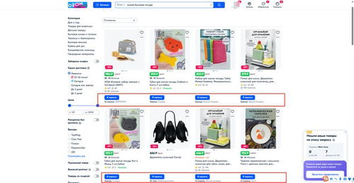 本土店与跨境店的运营环境对比
