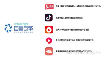 一、 本地化表达与搜索策略的重要性