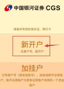 1. 确定公司名称