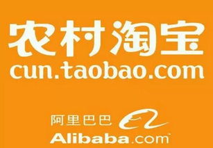 农村淘宝的机遇与挑战