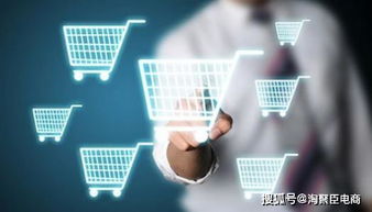 2. 运营模式差异