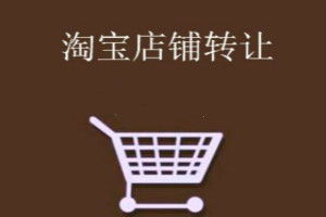 淘宝金冠店铺的价值与成就