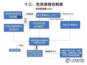 科学实用性原则：确保评价体系的精准度