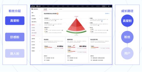 一、 抖音私域的定义及特点