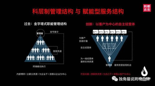 柔性供应链的建设与优化