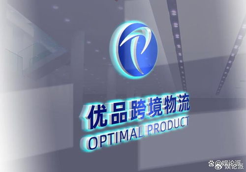 动态需求波动与运力调配失衡