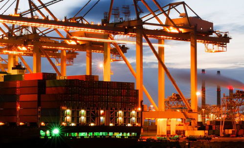 五、 进口海鲜的运输和储存要求