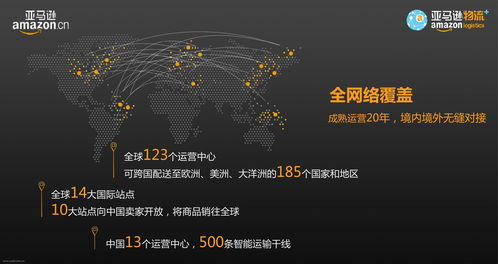 三、遵守规则与风险防控