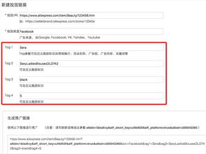 二、 付费推广工具与设置