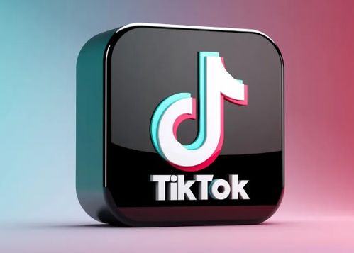 国内TikTok Ads开户及代理服务