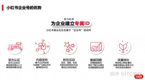 2. 接听电话， 回答审计人员问题