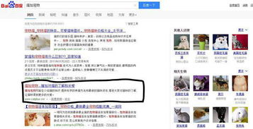 三、 包装费用：不同品类，价格各异