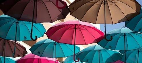 商家抓住机遇， 用户关注产品多样化