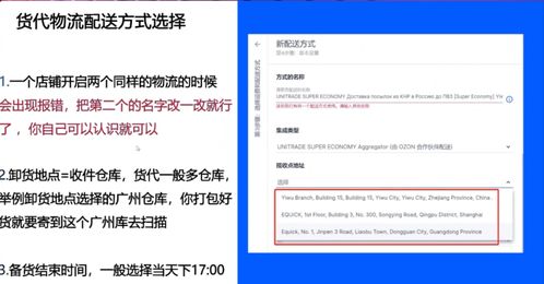 Ozon官方物流合作伙伴的标准化清关流程