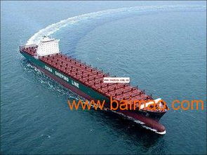 公司专业代理， 满足个性化需求