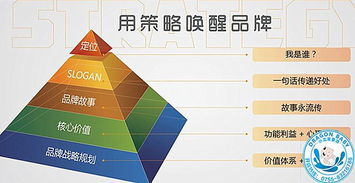 匈牙利：差异化选品策略
