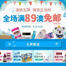 天猫海淘平台概况