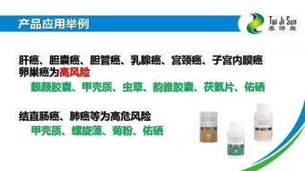 俄罗斯基因与选品策略：聚焦高性价比与轻小件商品