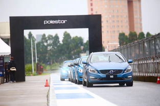 auerus品牌车的性嫩特点