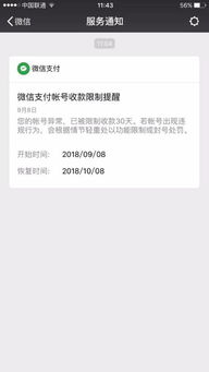 2. 休息日和假期