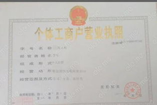 一、 跨境电商营业执照办理全攻略