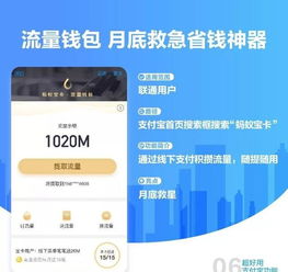 四、 速卖通支付工具的应用案例