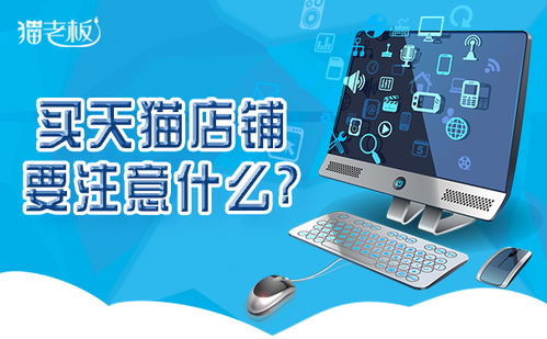 一、 天猫店铺购买平台概述