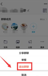 方法一：同过群设置界面踢人