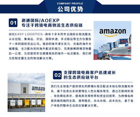 二、 欧洲FBA专线公司哪家强