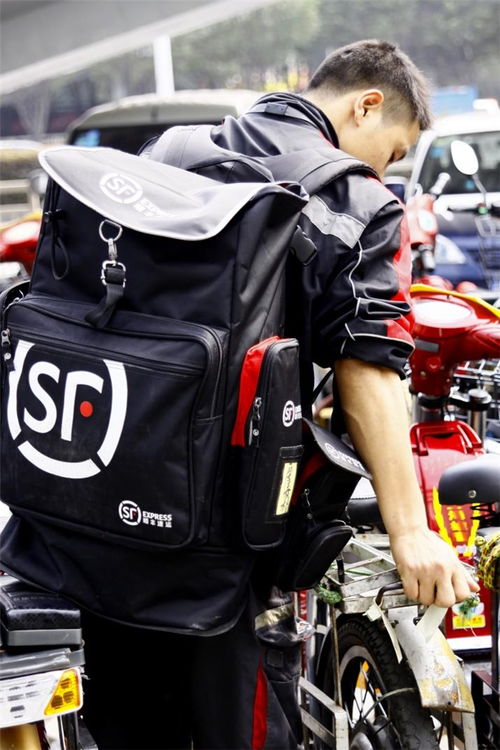 七、 顺丰快递2024年停运时间及运营安排详解