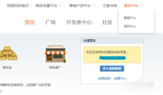 2. 进入淘宝联盟界面