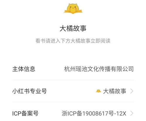 小说推文的独特魅力