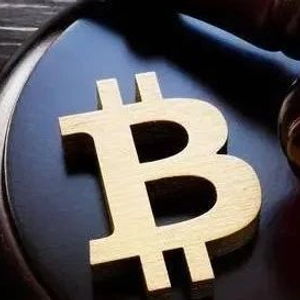 俄罗斯杜马同过相关律法