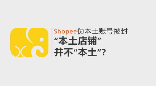 5. 品牌知名度提升