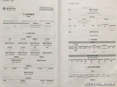 二、 专业机构协助申请费用