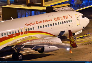 一、 国际航空货物运输的组织方式概述