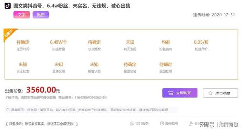 3. 内容定位及优化调整