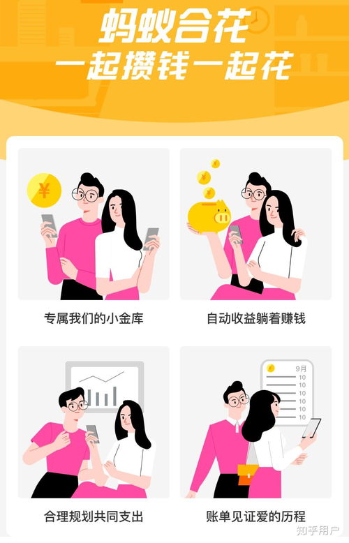 二、 小荷包与蚂蚁合花的关联