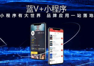 一、抖音蓝V续费流程是怎样的？