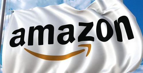 三、非品牌suo有者所需准备的信息