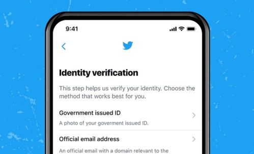 开通Twitter广告账户的必要性