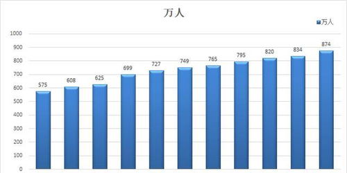 3. 技术支持不足