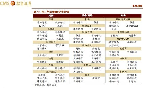 明确需求与预算