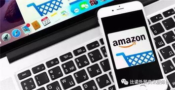 一、 欧洲代购服务概述