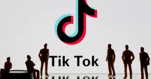 yin为跨境电商与社交电商的深度融合，TikTok Shop与国际小包物流的协同效应正在重塑全球零售格局