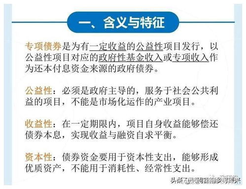 二、法国纺织转代理申报的挑战与对策