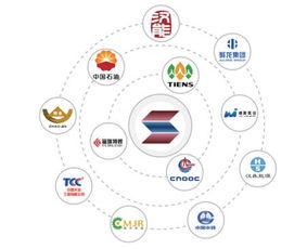 新加坡公司注册的基本条件