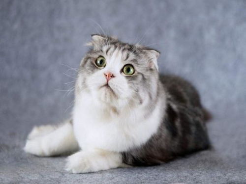 一、海鲜种类丰富，满足不同需求