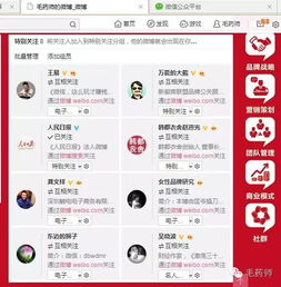 天猫品牌授权书：了解与申请