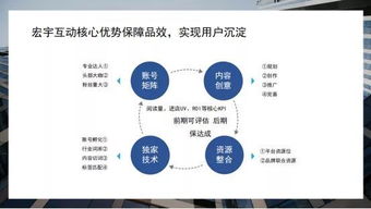 引入新的产品提升平台竞争力